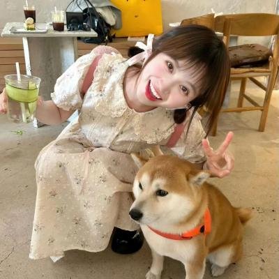 视点锋汇